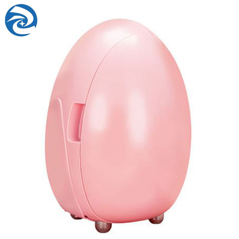 100V a 240V Mini Fridge For Skincare Products 42W 10L